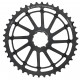 pignone Giant Cog 10v (SRAM)