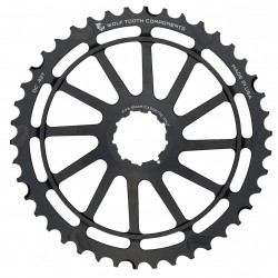 pignone Giant Cog 10v (SRAM)