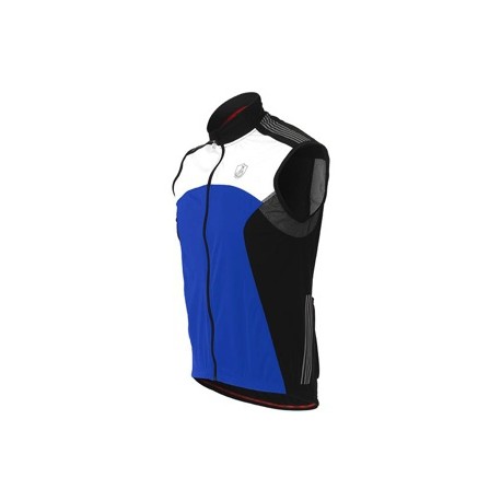 smanicata Raytech Light Txn Vest lake