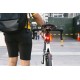 fanale Avenue R-30