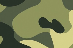 camouflage